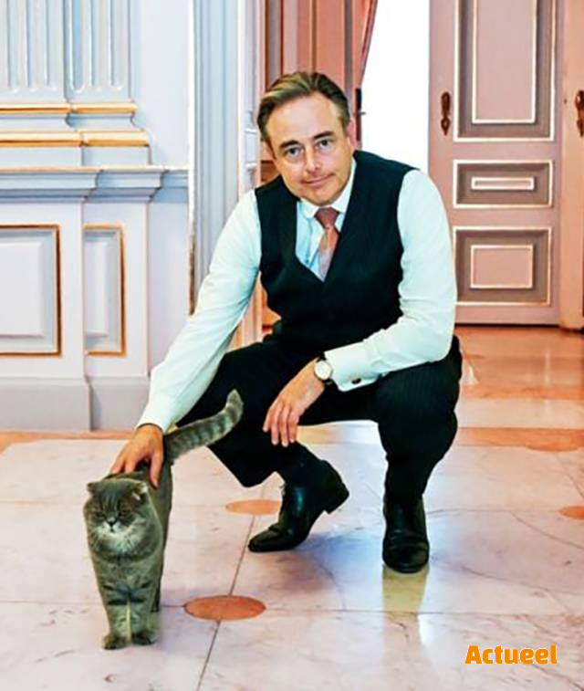 Als De Wever zijn kat stuurt … - Actueel - kmo promoties