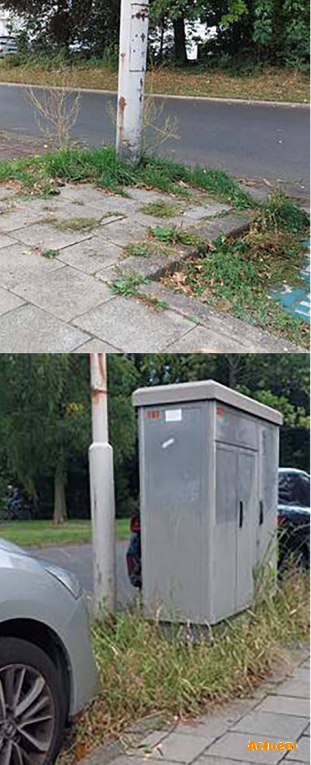 Groen als sluikstorting - Actueel - kmo promoties