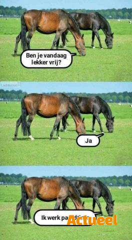 Humor maakt mensen gelukkiger - Actueel - kmo promoties