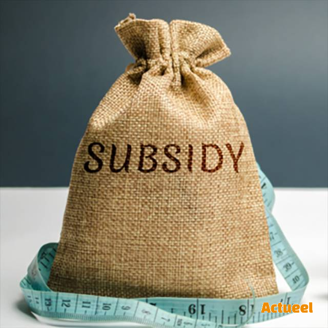 Schaf af die subsidies! - Actueel - kmo promoties
