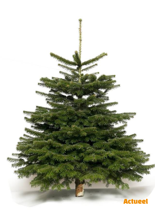 Zalige Kerst - Actueel - kmo promoties